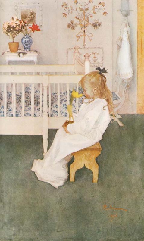 Carl Larsson Lisbeth in her night Dress with a yellow tulip Norge oil painting art